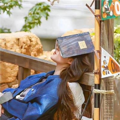 芬兰最有趣的人